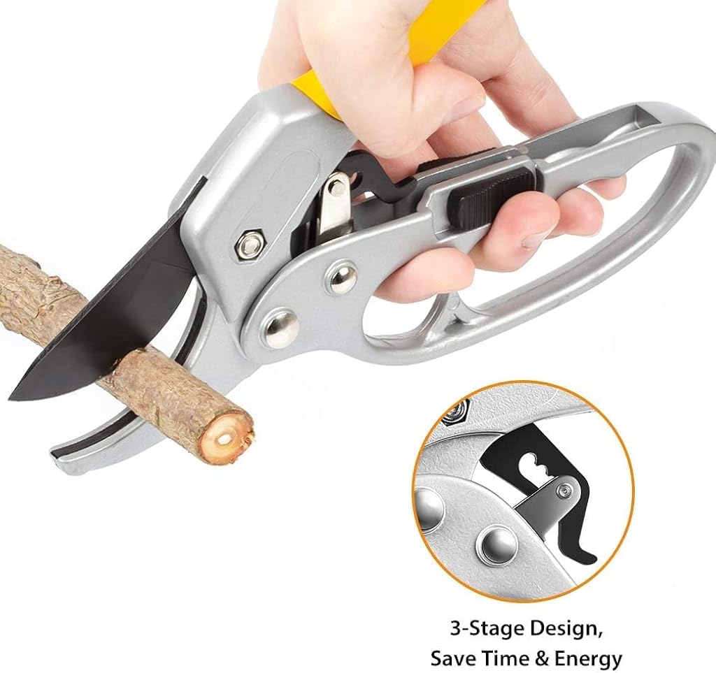 HASTHIP Gardening Scissor Stainless Steel Garden Snip with Safety Lock Garden Shears Sharp Cutter Pruners Scissor for Lawn, Garden & Potted Plants (A) HASTHIP Gardening Scissor Stainless Steel Garden Snip with Safety Lock Garden Shears Sharp Cutter Pruners Scissor for Lawn, Garden & Potted Plants (A)